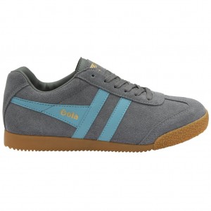 Gola Classics Harrier Suede Sneakers Ash Ocean Polska | 3547RINFB