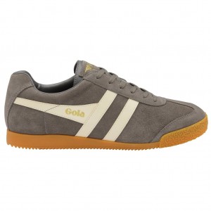 Gola Classics Harrier Suede Sneakers Ash Ecru Polska | 2063YHNXE